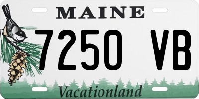 ME license plate 7250VB