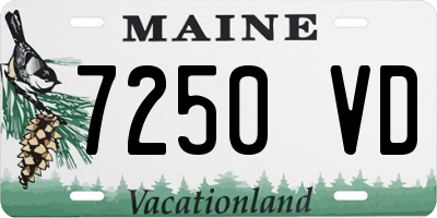 ME license plate 7250VD