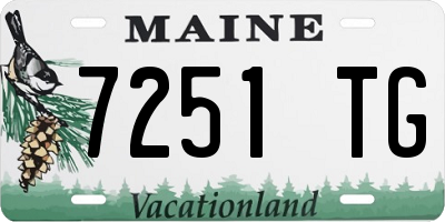 ME license plate 7251TG