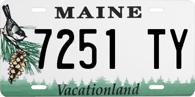 ME license plate 7251TY