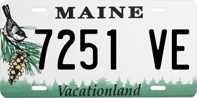 ME license plate 7251VE