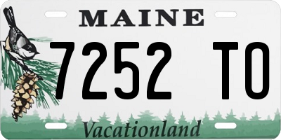 ME license plate 7252TO