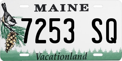 ME license plate 7253SQ