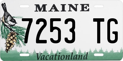 ME license plate 7253TG