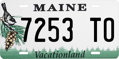 ME license plate 7253TO