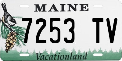 ME license plate 7253TV