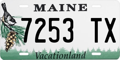 ME license plate 7253TX