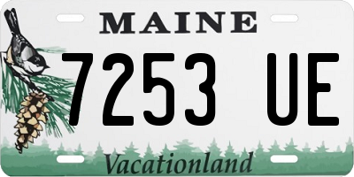 ME license plate 7253UE