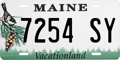 ME license plate 7254SY