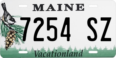 ME license plate 7254SZ