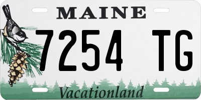 ME license plate 7254TG