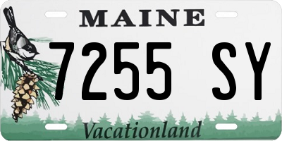 ME license plate 7255SY
