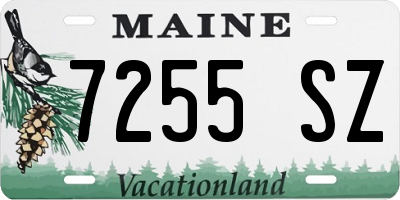 ME license plate 7255SZ