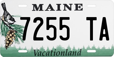 ME license plate 7255TA