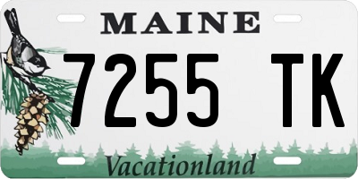 ME license plate 7255TK