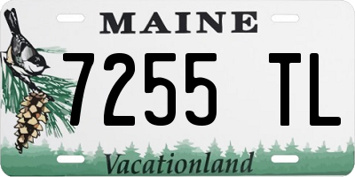 ME license plate 7255TL