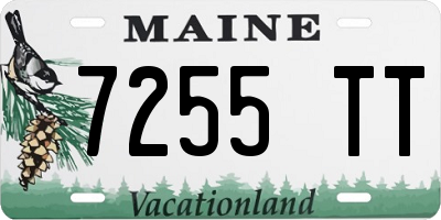 ME license plate 7255TT