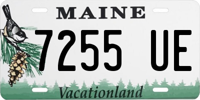 ME license plate 7255UE