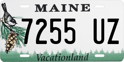ME license plate 7255UZ