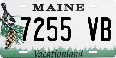 ME license plate 7255VB