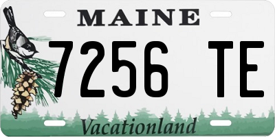 ME license plate 7256TE