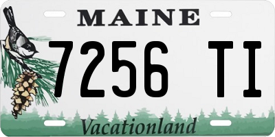 ME license plate 7256TI
