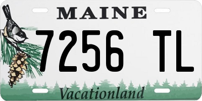 ME license plate 7256TL