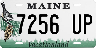 ME license plate 7256UP