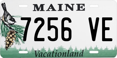 ME license plate 7256VE