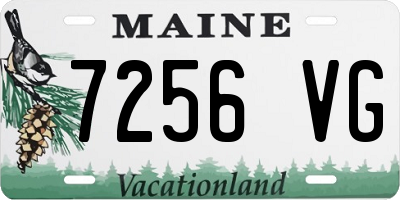 ME license plate 7256VG