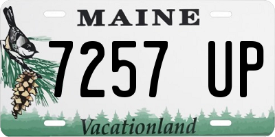 ME license plate 7257UP