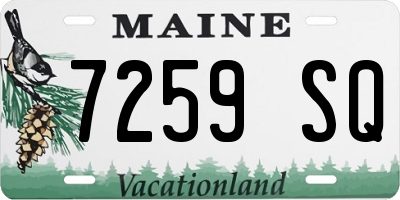 ME license plate 7259SQ