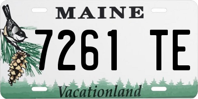ME license plate 7261TE