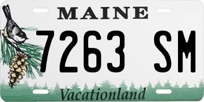 ME license plate 7263SM