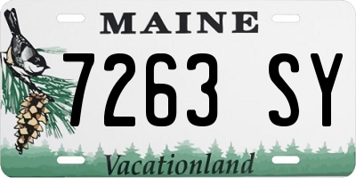 ME license plate 7263SY