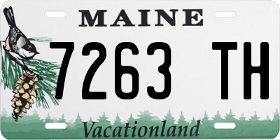 ME license plate 7263TH