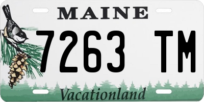ME license plate 7263TM