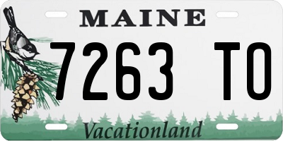 ME license plate 7263TO