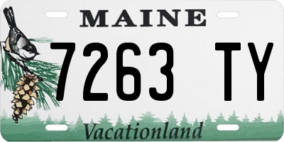ME license plate 7263TY