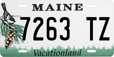 ME license plate 7263TZ