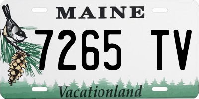 ME license plate 7265TV