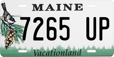 ME license plate 7265UP