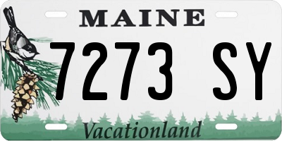 ME license plate 7273SY