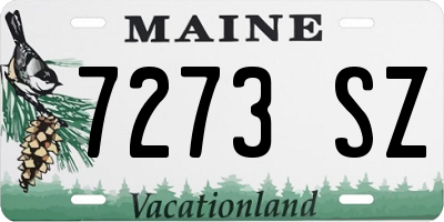 ME license plate 7273SZ