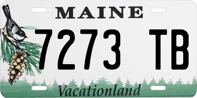 ME license plate 7273TB