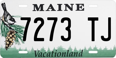 ME license plate 7273TJ