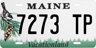 ME license plate 7273TP