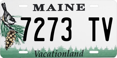ME license plate 7273TV