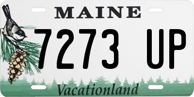 ME license plate 7273UP