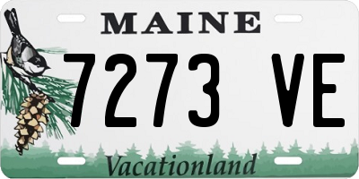 ME license plate 7273VE